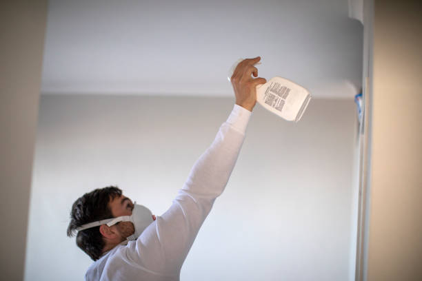 Best Best Mold Removal Companies  in Union City, CA