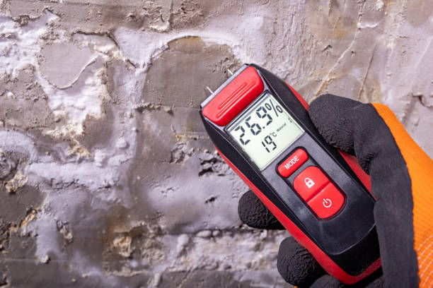 Best Mold Testing  in Union City, CA
