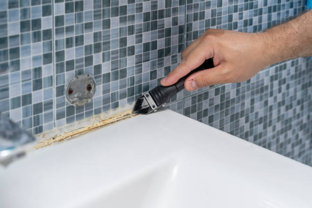 Best Mold Testing  in Union City, CA
