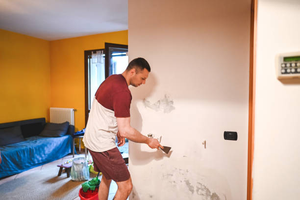 Best Mold Remediation  in Union City, CA